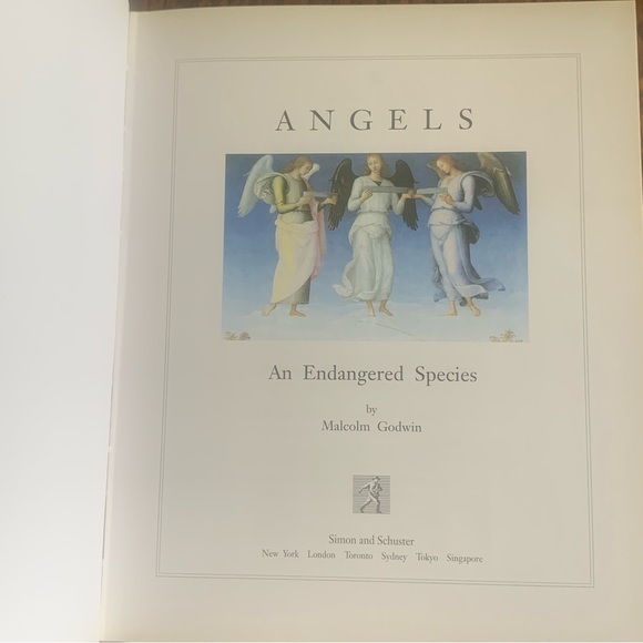 Beautiful ‘Angels an Endangered Species’ Book. Perfect for Christmas! - Picture 2 of 4